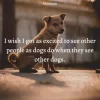 stray-dog-thoughts-2