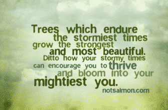 thought-for-today-07-16-08-2