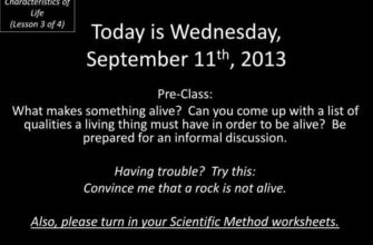 wednesday-september-11th-2013